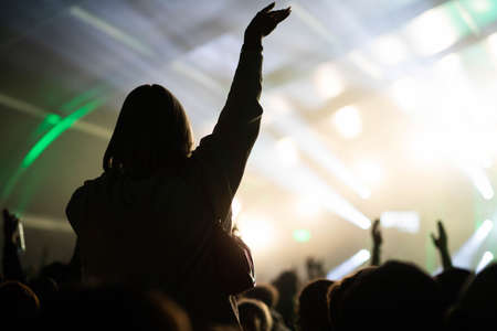 crowd at concert - summer music festival