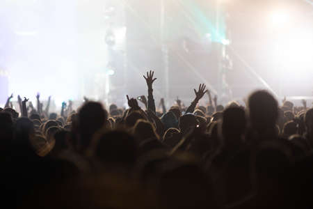 crowd at concert - summer music festival