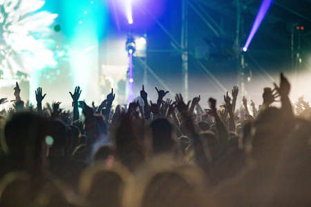crowd at concert - summer music festival