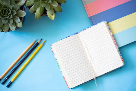 school accessories with notebook and succulents on blueの写真素材