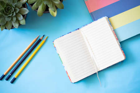 school accessories with notebook and succulents on blueの写真素材