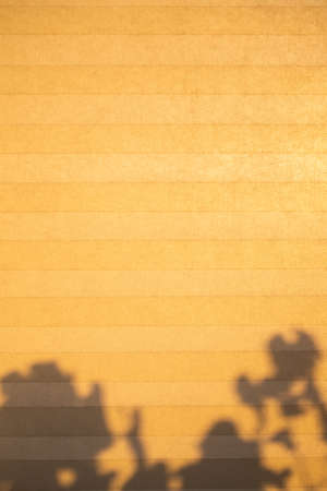 yellow summer background with leaves shadowsの写真素材