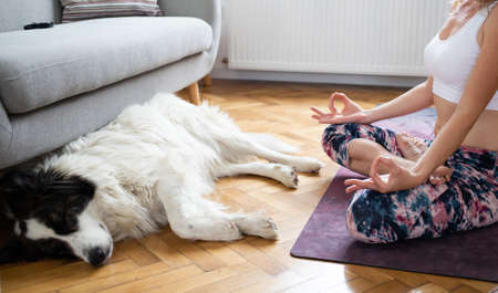 woman doing yoga at home healthy lifestyleの写真素材