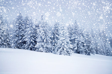 magical frozen winter landscape with snow covered fir treesの写真素材