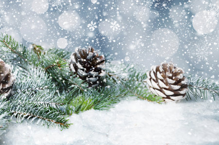 christmas banner with snowy fire branches