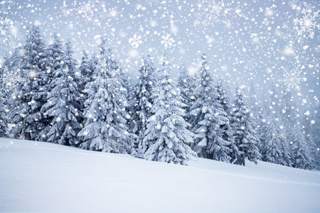 magical frozen winter landscape with snow covered fir treesの写真素材