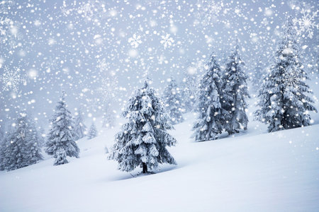 magical frozen winter landscape with snow covered fir treesの写真素材