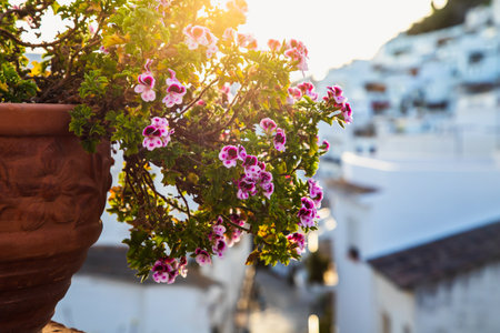 picturesque village of  Mijas. Costa del Sol, Andalusia, Spainの写真素材