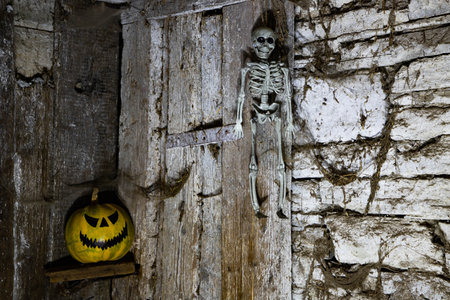 scary Halloween background with Jack'o'lanterns and skeletonの写真素材