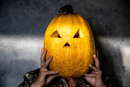 halloween pumpkins ready for carvingの写真素材