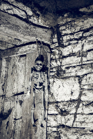 scary Halloween background with Jack'o'lanterns and skeletonの写真素材