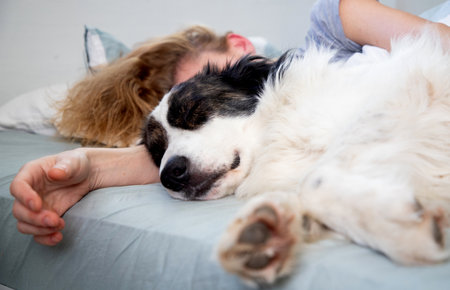 happy white dog and woman sleeping in bed