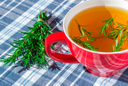 Green herbal tea with rosemary. Concept - hot drinks.の写真素材