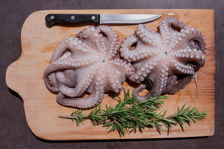 Fresh raw octopus in a bowl. Concept - healthy food, longevity, Mediterranean diet. の写真素材