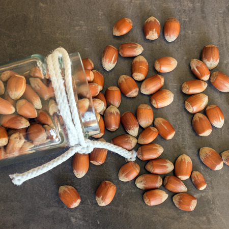 Hazelnuts were scattered from the glass jar. Nuts in the shell. Health food.