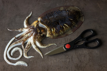 Delicious raw cuttlefish lies on the surface of a dark stone. Concept is fresh seafood, healthy food.の写真素材