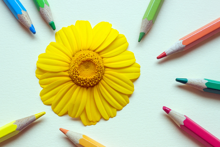 Large bright Daisy surrounded by colored pencils. Concept-education, drawing, creativity.Copy space.の写真素材
