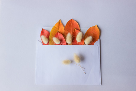 White envelope with bright autumn leaves and dry twigs on white background. Autumn letter.の写真素材
