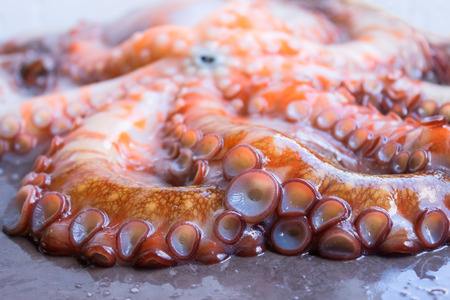 Whole raw octopus on a black stone table. Concept- healthy food, fresh seafood. Selective focus.の写真素材