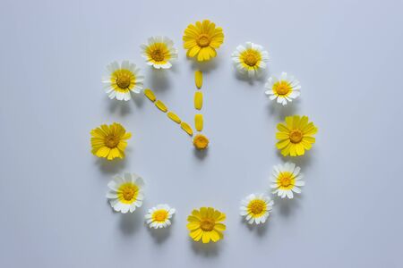 Flower clock made of white and yellow daisies on a light background. Time concept, waiting for spring.の写真素材