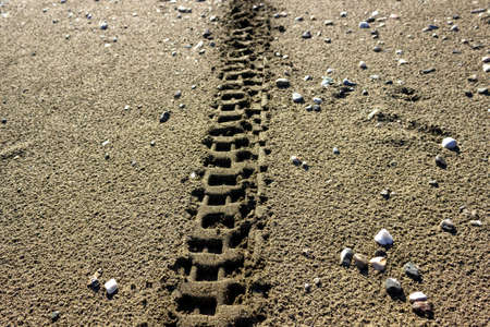Wheel tracks on the beach sand. Abstract background and texture. Selective focus.