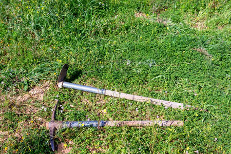 A rake and a steel hoe with a wooden handle lie on the green grass in the garden. Concept -...