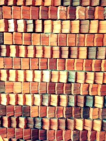 Bricks stuck to a wallの素材