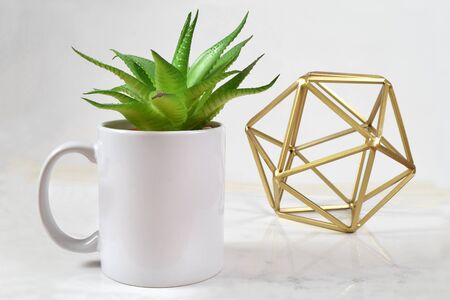 A white 11 oz. coffee holds an aloe vera plant while an abstract gold sculpture classes up the background in this green modern mockup. Ready for you to add your own design to the coffee cup.の写真素材