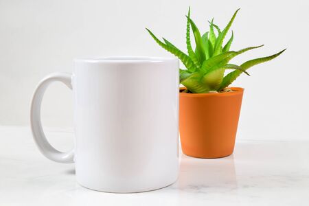 This coffee cup mockup features an 11 ounce blank white coffee mug chilling in front of a cherry aloe vera plant.の写真素材