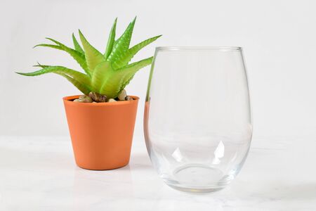 Stemless Wineglass. Mockup resting on a white marble background next to a cheery Aloe Vera plant.の写真素材
