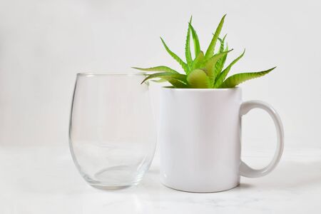 This cup mockup features a stemless wine glass next to an 11 ounce coffee cup. A cheerful green aloe vera plant rests inside the mug. Plenty of copy space.の写真素材