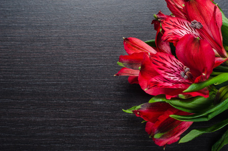 beautiful Red Alstroemeria flowers on black wooden tableの写真素材