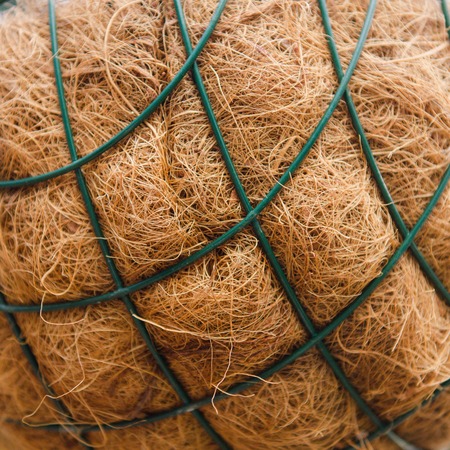 Texture. Dried grass, bunches grass for potsの写真素材