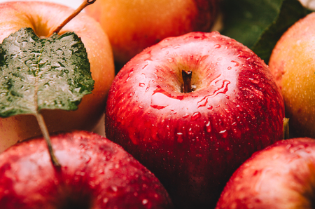 Ripe wet red and yellow apples lying in a pile with green leaves. Harvesting, autumn.の写真素材