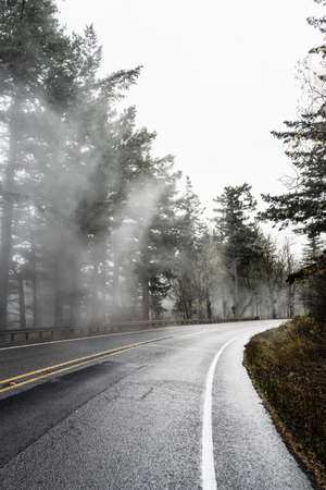 Taking a drive on an enchanting white foggy landscape on a two-lane mountain road during Autumn in the Pacific Northwest, United States.の写真素材