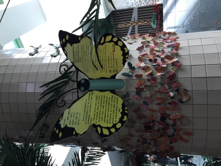 Butterfly Displayのeditorial素材