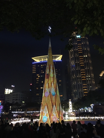 Christmas Treeの写真素材