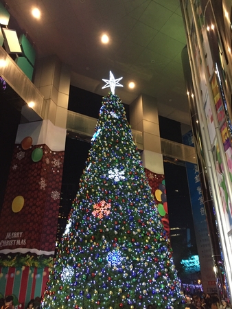 Christmas Treeの写真素材