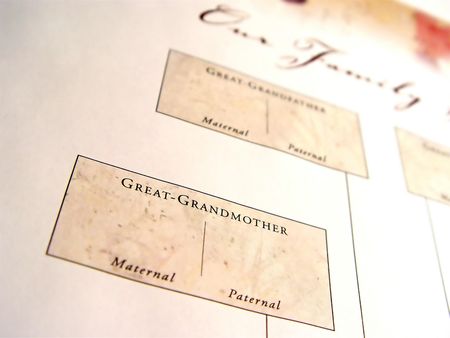 Closeup of Family Tree