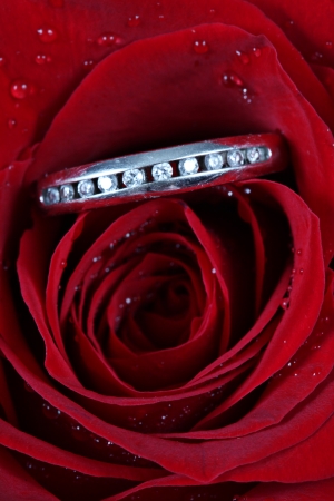 Wedding Ring in Rose, Will you marry me の写真素材
