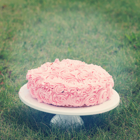 plate of cake on grassの写真素材