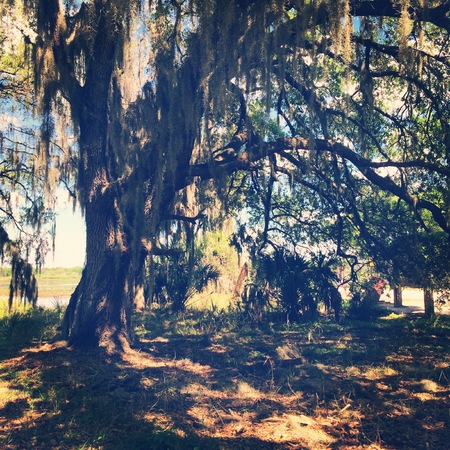 Landscape in Rural Areaの写真素材