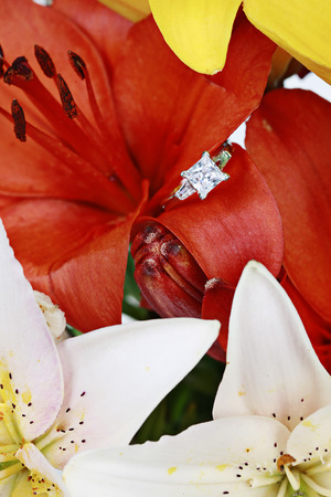 Ring on Lily Flower taken closeupの写真素材