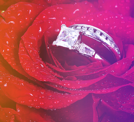wedding ring in red rose with vintage effectの写真素材