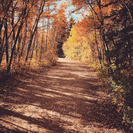 Beautiful fall landscape with color leaves with a wooden fence and streamの写真素材