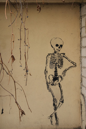 Street art in Vilnius skeleton on the wallの写真素材