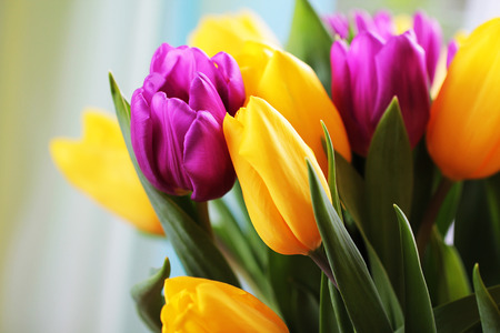 Wonderful tulip bouquet bright closeup macro photoの写真素材