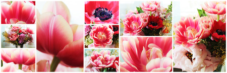 Beautiful close up macro photo of tulip collageの写真素材
