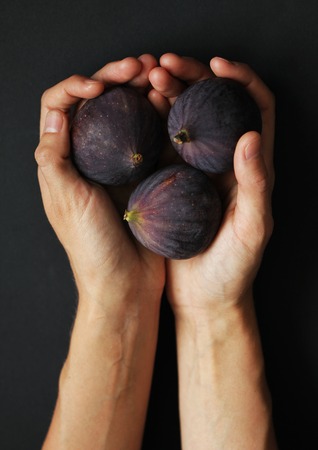 Hands holding figs close up isolated beautiful photoの写真素材