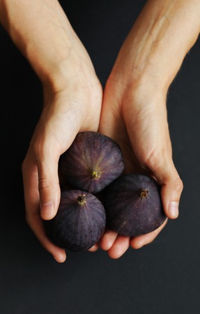 Hands holding figs close up isolated beautiful photoの写真素材